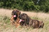 FILA BRASILEIRO 097